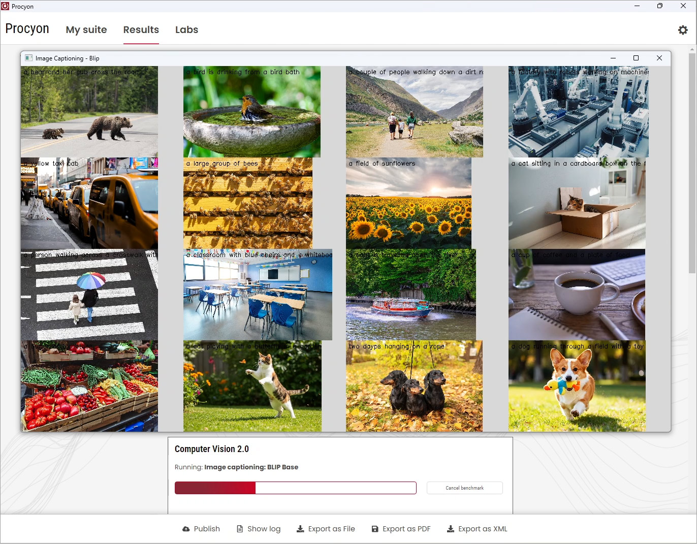 Computer vision Image Captioning